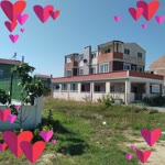 Caner