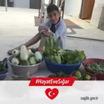 Seher