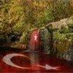 Cüneyt