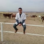 Mehmetcan