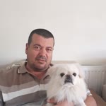 Özgür
