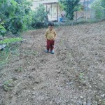Ayşe