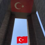 Feden