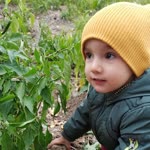 Selin
