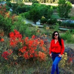 Neslihan