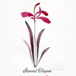 İsmail