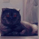 Profil fotoğrafı
