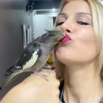 Aysel