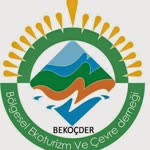 Bölgesel