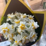 Yüsra