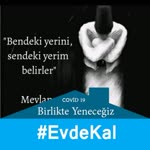 Aynur