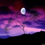 Alone