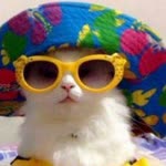 Elif