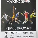 Makrospor