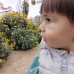 Yusuf