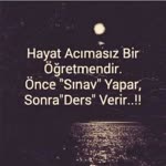 Halis