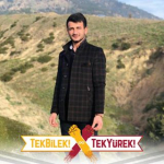 Mahmut