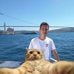 Arda