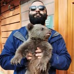 Yavuz