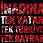 Serdar