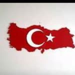 Sevim