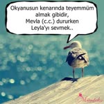 Semra
