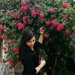 Nihal