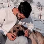 Veysel