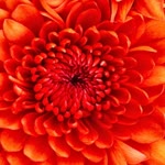 Sinem