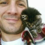 Serdar