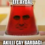 Tuğçe
