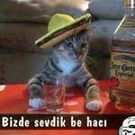 Korcan