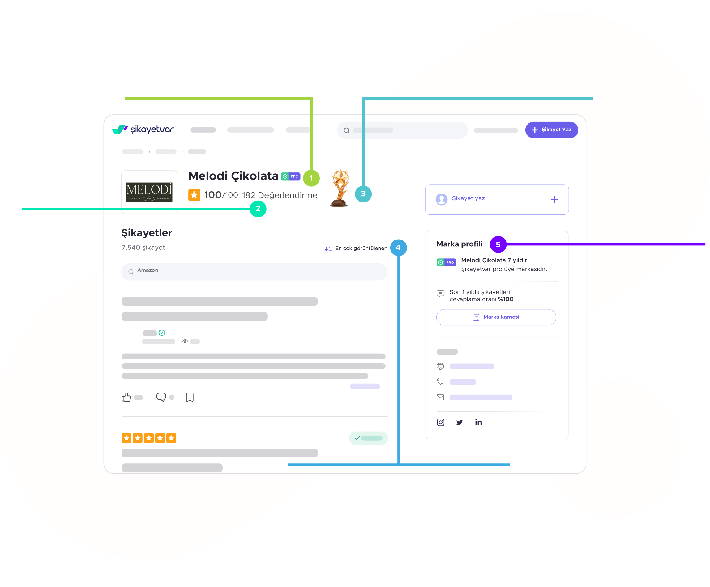Company Info