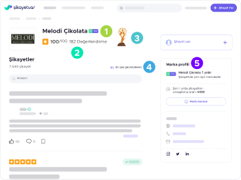 Company Info
